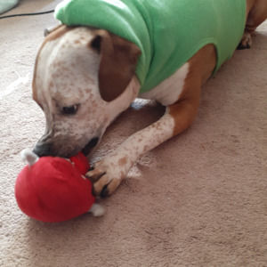 Meet your Posher, Tanya